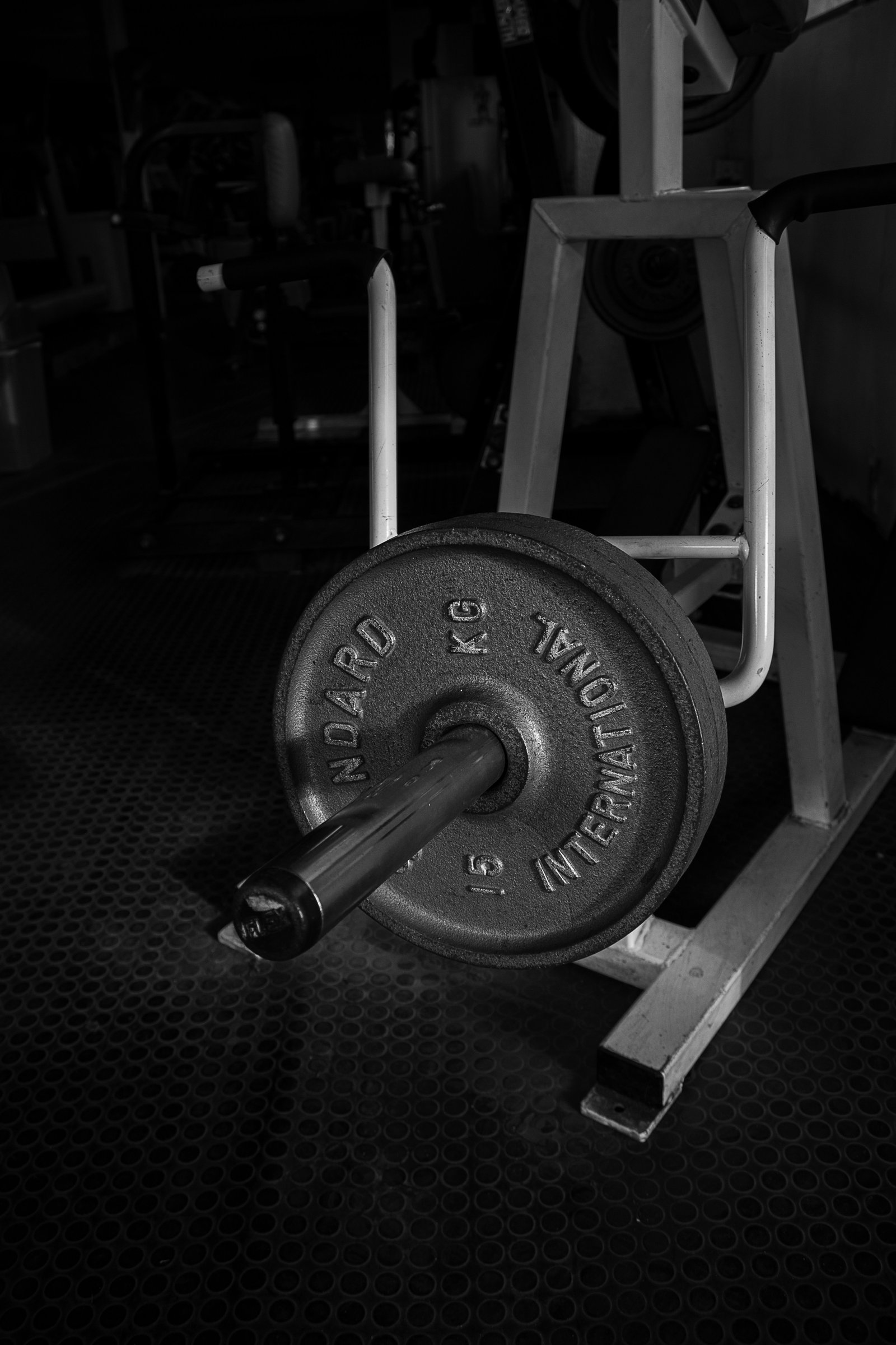 Estilo de vida fitness